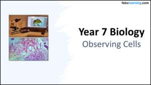 Year-7 Biology Cells Observing Cells Title