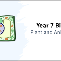 Year-7 Biology Cells Plant and Animal Cells Title Year-7 Biology Cells Plant and Animal Cells Title