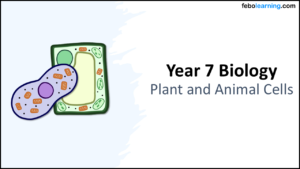 Year-7 Biology Cells Plant and Animal Cells Title