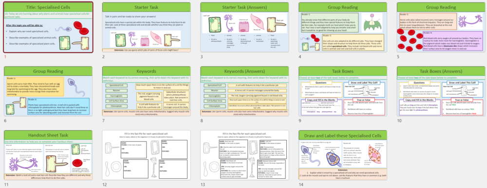 Year-7 Biology Cells Specialised Cells Lesson slide thumbnails