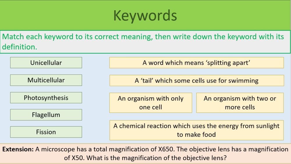 Lesson Keywords