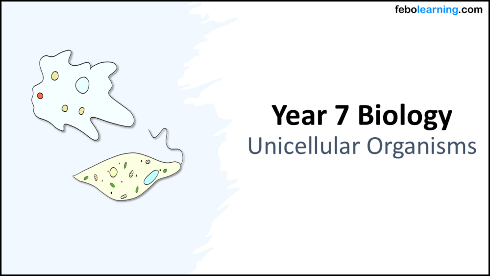 Year-7 Biology Cells Unicellular Organisms Title