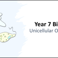 Year-7 Biology Cells Unicellular Organisms Title