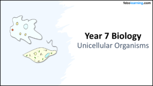 Year-7 Biology Cells Unicellular Organisms Title