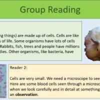 Group Reading Task