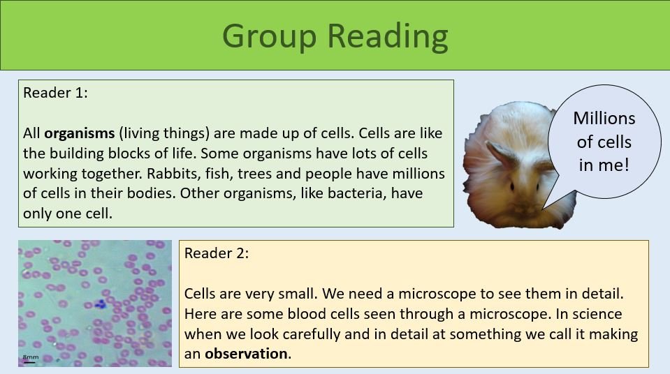 Group Reading Task