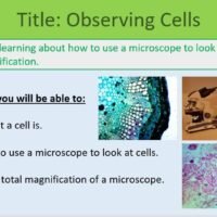 Year-7 Biology Observing Cells Learning Objectives