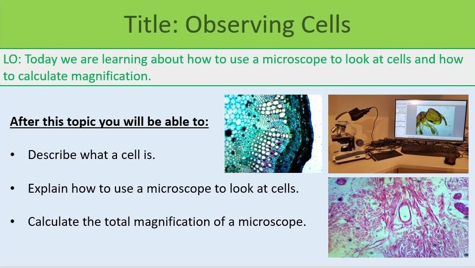 Year-7 Biology Observing Cells Learning Objectives