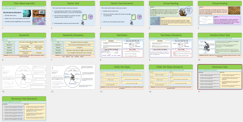 Lesson slide thumbnails