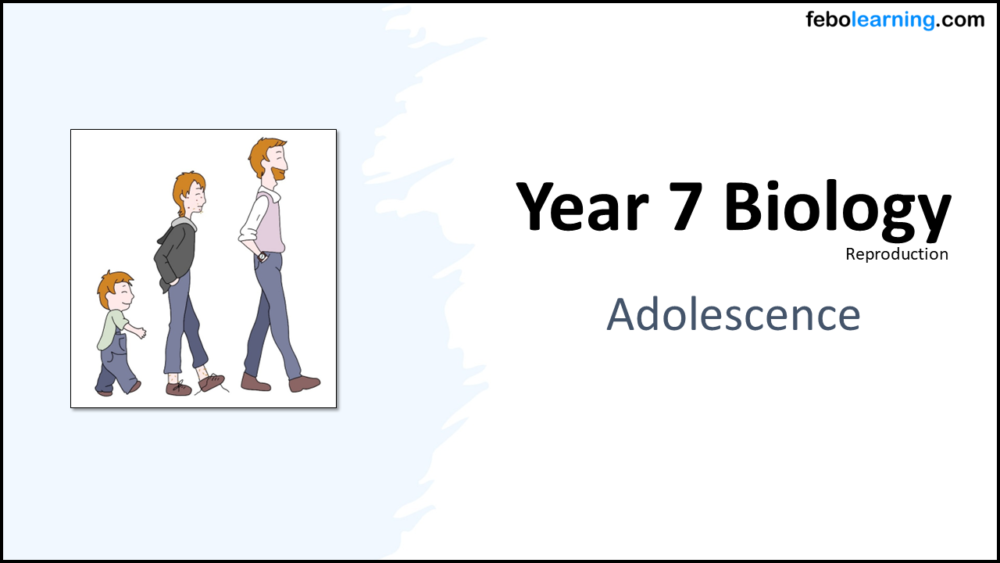 Year-7 Biology Reproduction Adolescence Year-7 Biology Reproduction Adolescence