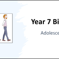 Year-7 Biology Reproduction Adolescence Year-7 Biology Reproduction Adolescence