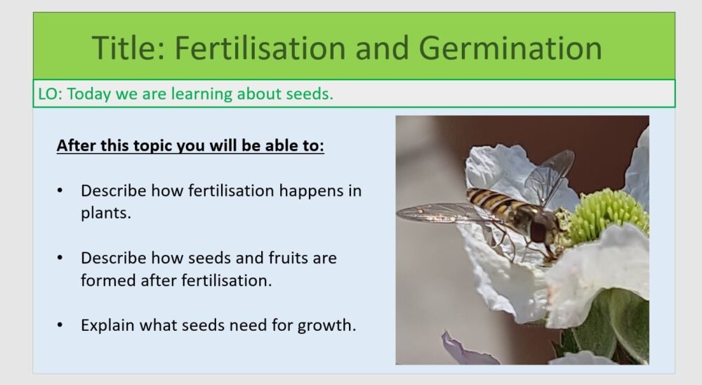 Year-7 Biology Reproduction Fertilisation and Germination Lesson Objectives