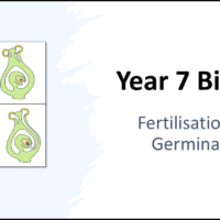 Year-7 Biology Reproduction Fertilisation and Germination Title