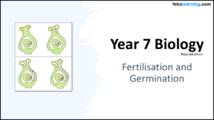 Year-7 Biology Reproduction Fertilisation and Germination Title