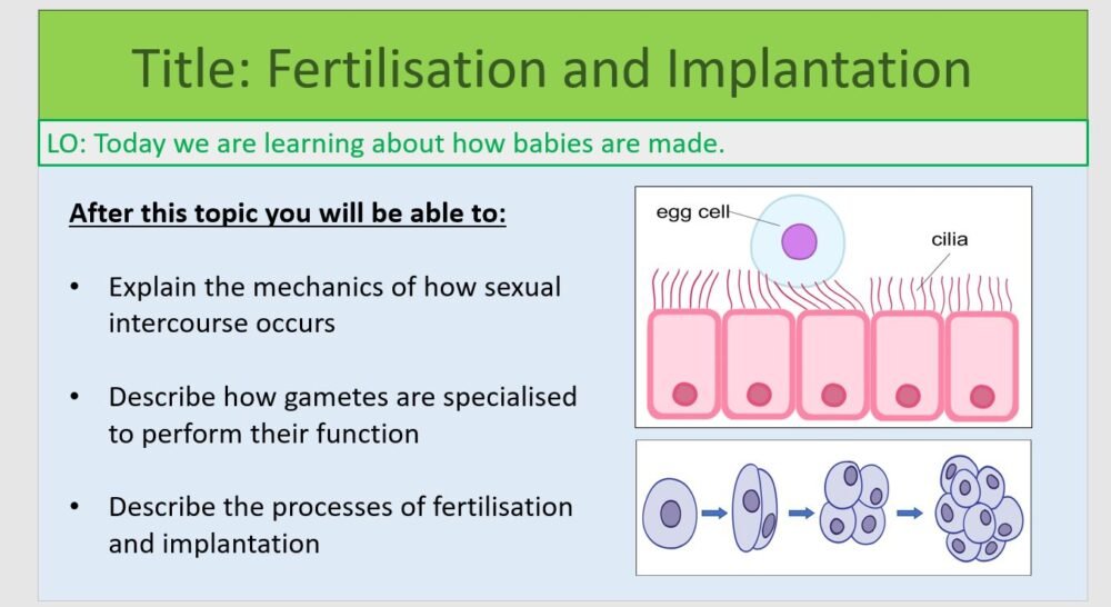 Year-7 Biology Reproduction Fertilisation and Implantation Lesson Objectives