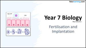 Year-7 Biology Reproduction Fertilisation and Implantation Title