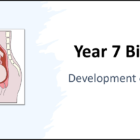 Year-7 Biology Reproduction Fetus Development Title