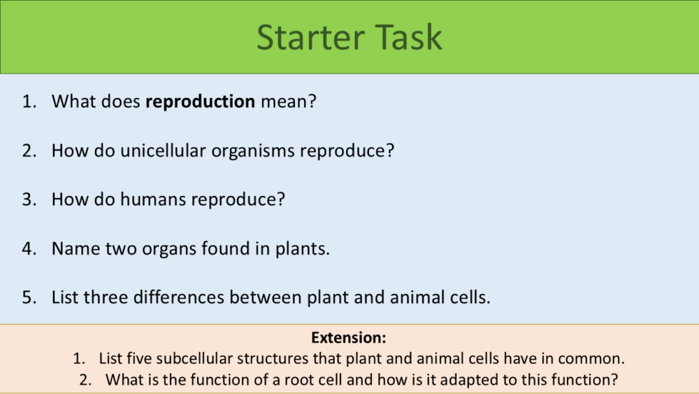 Year-7 Biology Reproduction Flowers-and-Pollination Lesson Objectives