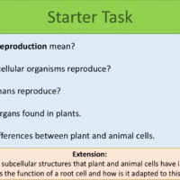 Year-7 Biology Reproduction Flowers-and-Pollination Lesson Objectives