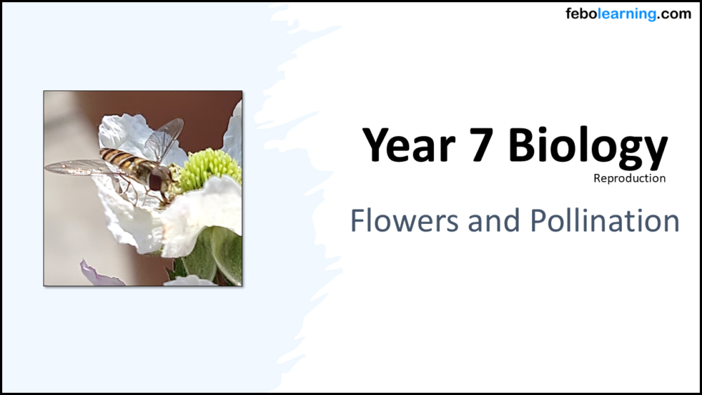 Year-7 Biology Reproduction Flowers-and-Pollination Title
