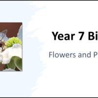 Year-7 Biology Reproduction Flowers-and-Pollination Title