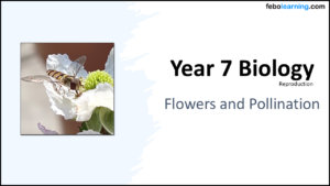Year-7 Biology Reproduction Flowers-and-Pollination Title