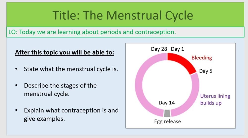 Year-7 Biology Reproduction Menstrual Cycle Title