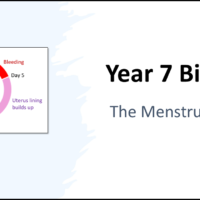 Year-7 Biology Reproduction Menstrual Cycle Title