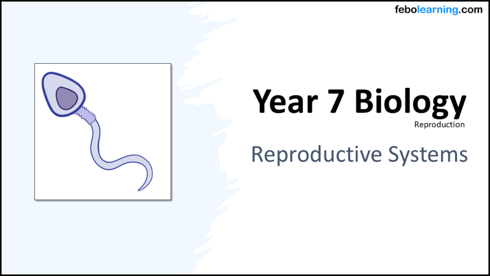Year-7 Biology Reproduction Reproductive Systems Title Year-7 Biology Reproduction Reproductive Systems Title
