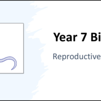 Year-7 Biology Reproduction Reproductive Systems Title Year-7 Biology Reproduction Reproductive Systems Title