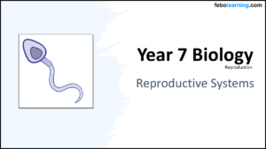 Link to next lesson: Reproductive Systems