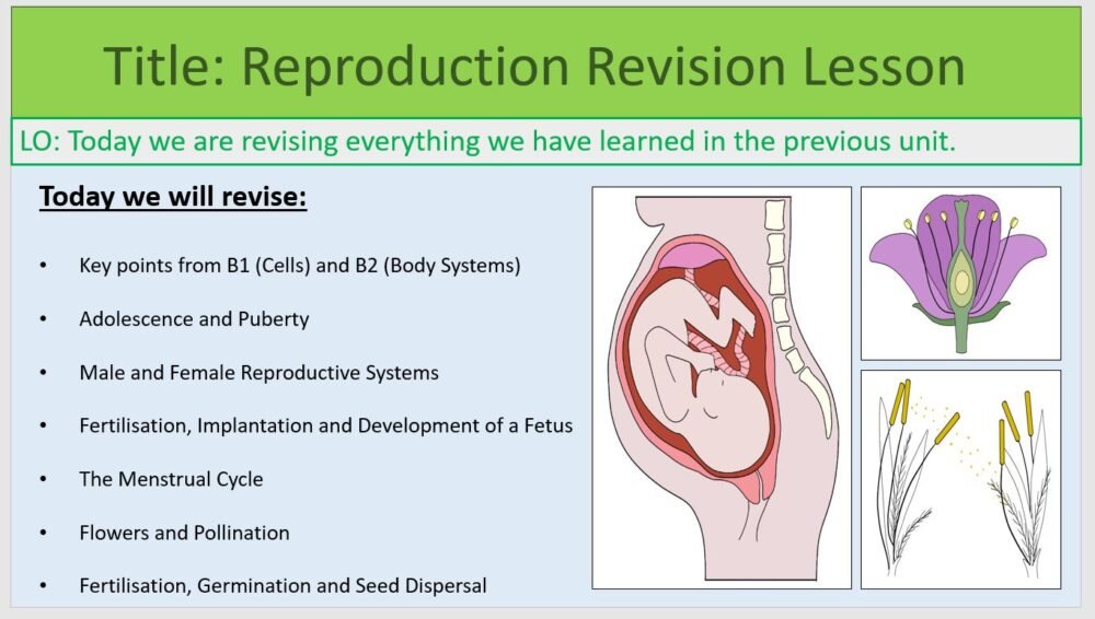 Year-7 Biology Reproduction Revision Lesson Objectives