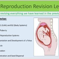Year-7 Biology Reproduction Revision Lesson Objectives