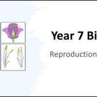 Year-7 Biology Reproduction Revision Lesson Title