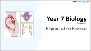 Year-7 Biology Reproduction Revision Lesson Title