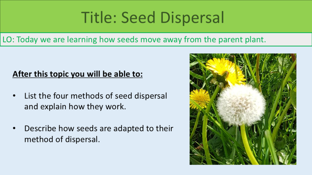Year-7 Biology Reproduction Seed Dispersal Lesson Objectives