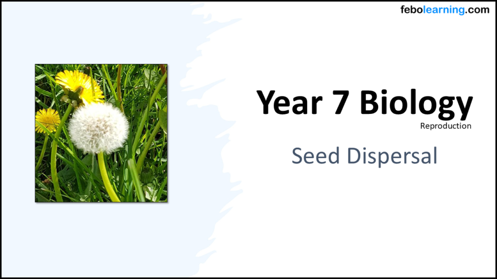 Year-7 Biology Reproduction Seed Dispersal Title