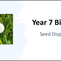 Year-7 Biology Reproduction Seed Dispersal Title