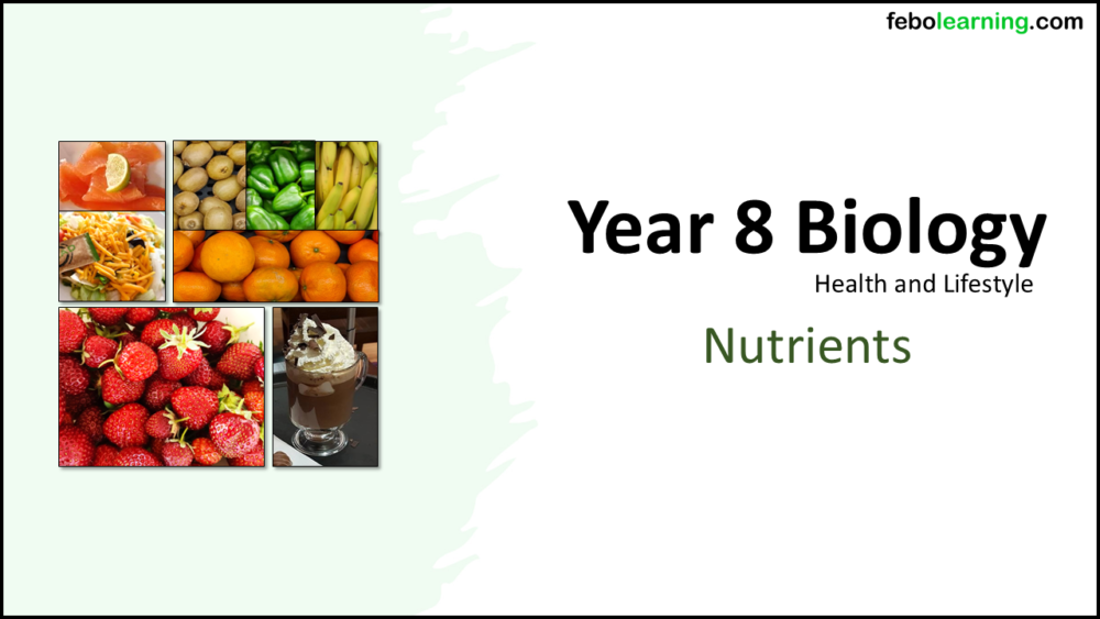 Year-8 Biology Health and Lifestyle Nutrition Title
