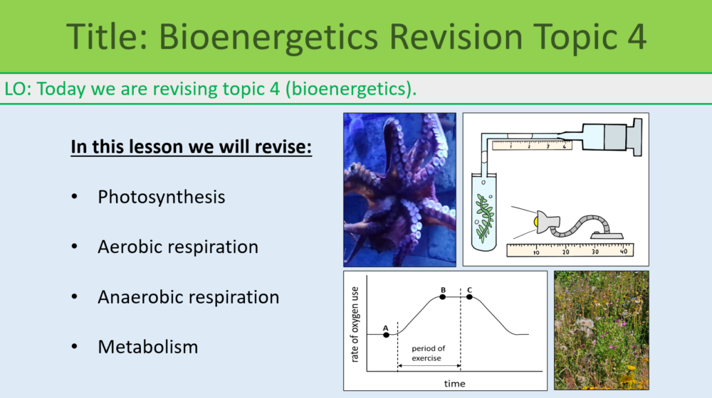 GCSE Biology Topic 4: Revision Bioenergetics Lesson Objectives