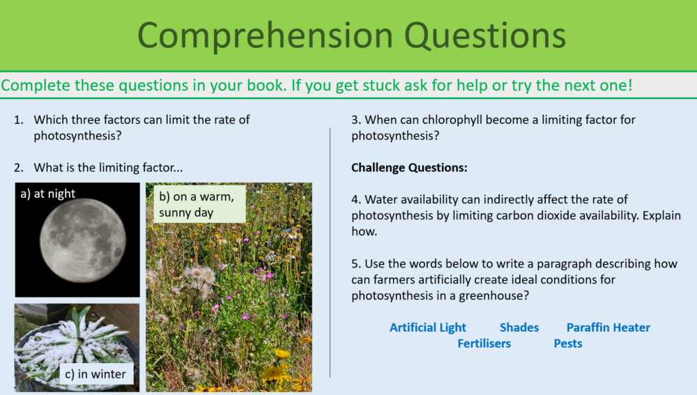Revision Bioenergetics Exercise