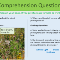 Revision Bioenergetics Exercise
