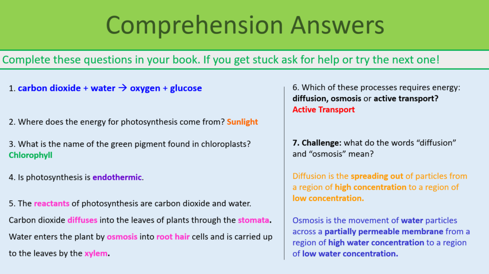 GCSE Biology Topic 4: Photosynthesis Lesson Objectives Preview