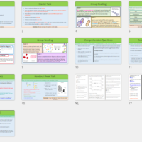 GCSE Biology Topic 6 DNA Lesson slide thumbnails