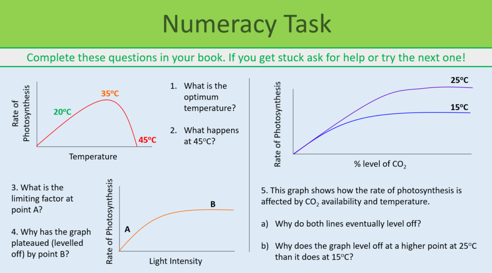 Revision Bioenergetics Numeracy Task