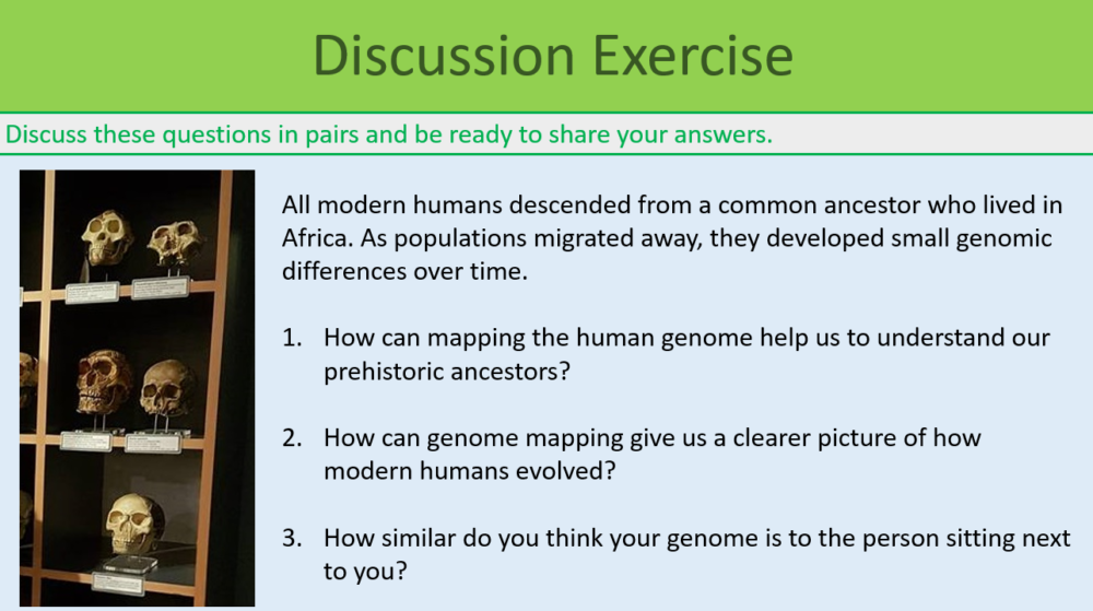 DNA Discussion Exercise