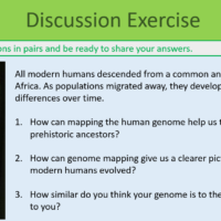 DNA Discussion Exercise