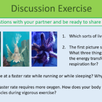 Revision Bioenergetics discussion exercise