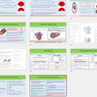 GCSE Biology Topic 1-4: Revision Bioenergetics Learning Lesson Slide Preview Thumbnails