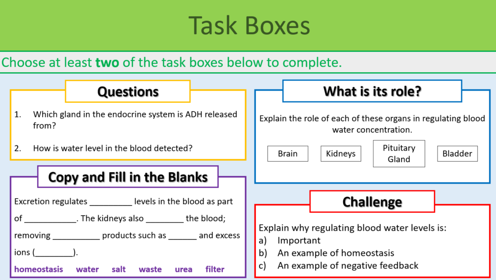kidneys task boxes